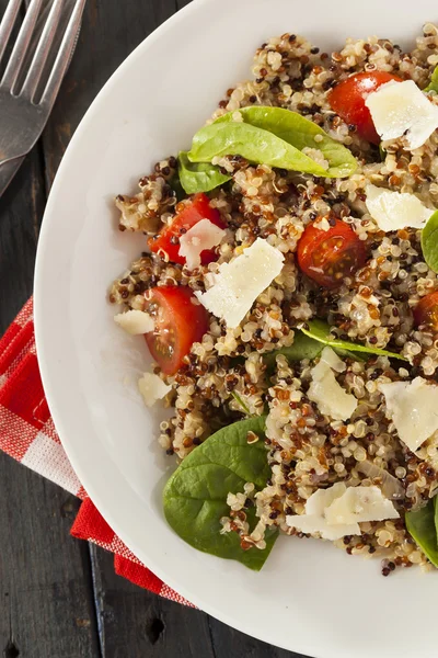 Healthy Vegetarian Quinoa Salad — Stock Photo, Image