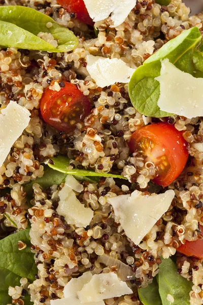 Sałatka quinoa wegetariańska zdrowy — Zdjęcie stockowe