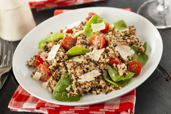 Healthy Vegetarian Quinoa Salad — Stock Photo, Image