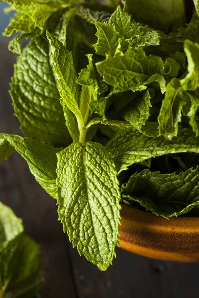 Hoja de menta verde orgánica — Foto de Stock