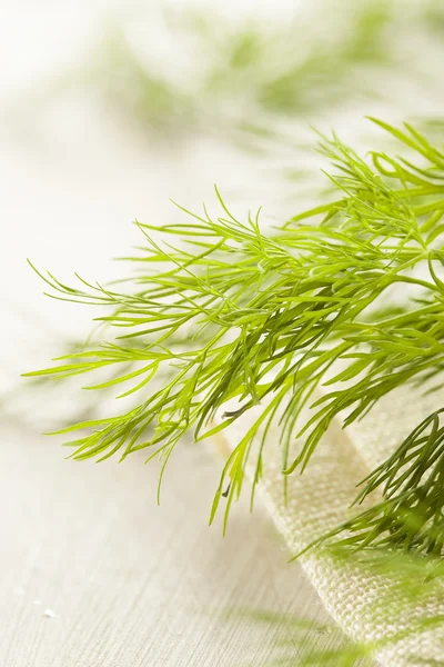 Organic Green Dill Herb — Stock Photo, Image