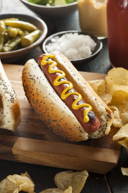 Gourmet Grilled All Beef Hots Dogs clipart