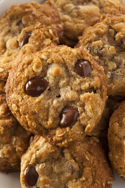 Galletas de chocolate caseras —  Fotos de Stock