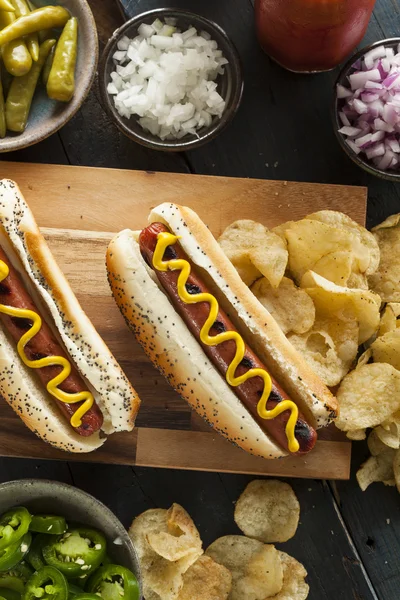 Gourmet Grilled All Beef Hots Dogs — Stock Photo, Image