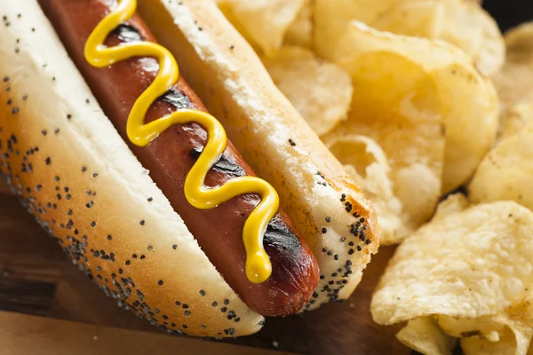 Gastronomische gegrilde alle rundvlees hots honden — Stockfoto