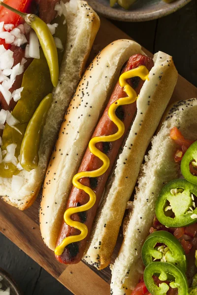 Gourmet Grilled All Beef Hots Dogs — Stock Photo, Image