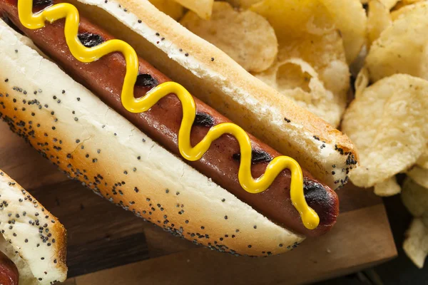 Gourmet Grilled All Beef Hots Dogs — Stock Photo, Image