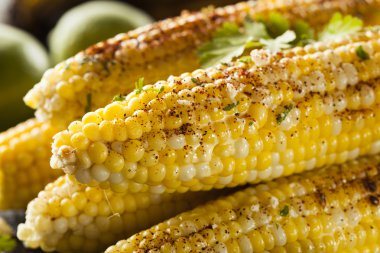 Nefis ızgara Meksika Mısır