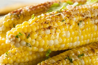 Nefis ızgara Meksika Mısır