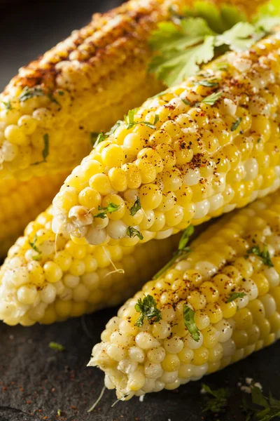 Delicious Grilled Mexican Corn — Stock Photo, Image