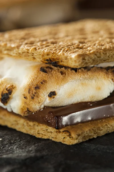 S'mores with Marshmallows Chocolate and Graham Crackers — Stock Photo, Image