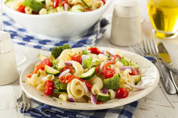 Insalata di pasta fatta in casa sana — Foto Stock