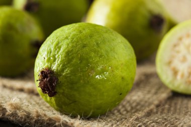 taze organik yeşil guava