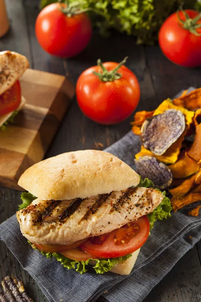 Sağlıklı ızgara tavuk sandviç — Stok fotoğraf