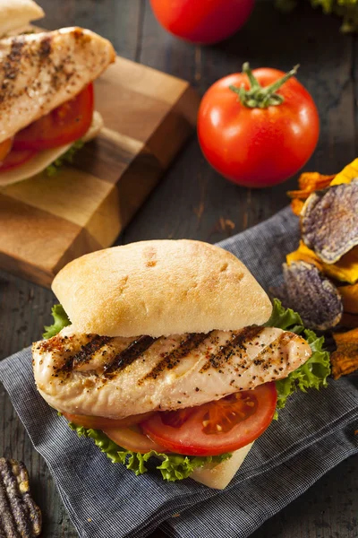 Healthy Grilled Chicken Sandwich — Stock Photo, Image
