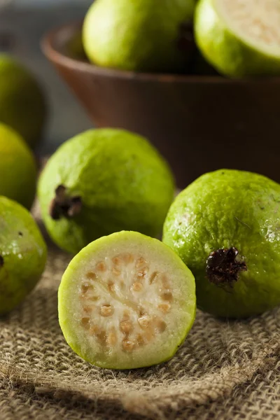 Friss szerves zöld guava — Stock Fotó