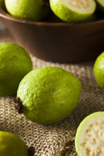 Guava verde biologica fresca — Foto Stock