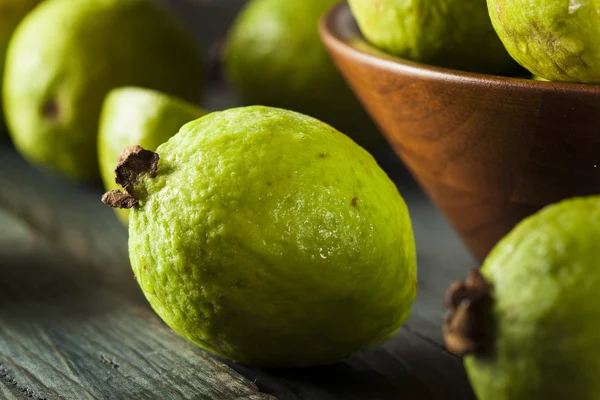 Taze organik yeşil guava — Stok fotoğraf