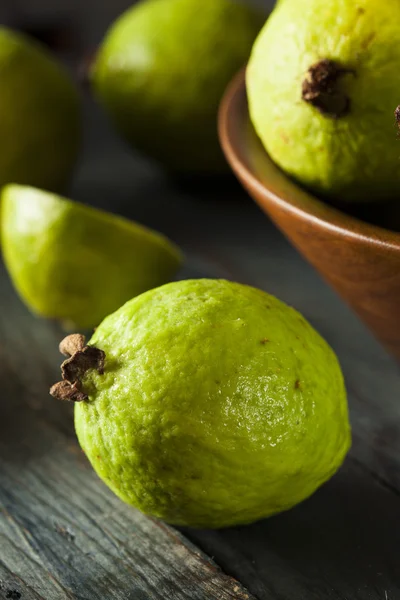 Guava verde biologica fresca — Foto Stock