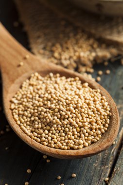 ham organik hardal tohumu