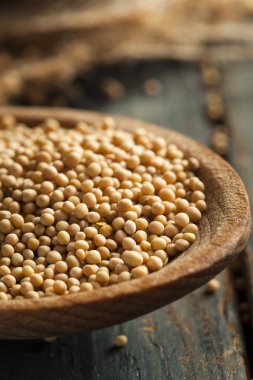 ham organik hardal tohumu