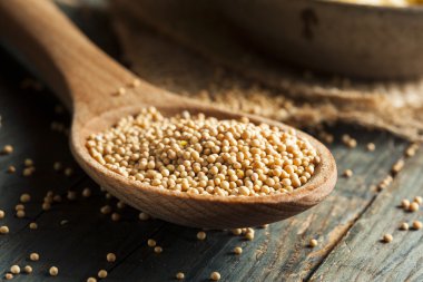 ham organik hardal tohumu