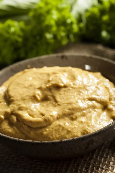 Homemade Spicy Mustard Sauce — Stock Photo, Image