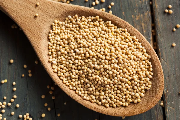 Raw Organic Mustard Seeds — Stock Photo, Image