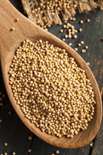 Raw Organic Mustard Seeds — Stock Photo, Image