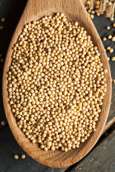 Raw Organic Mustard Seeds — Stock Photo, Image