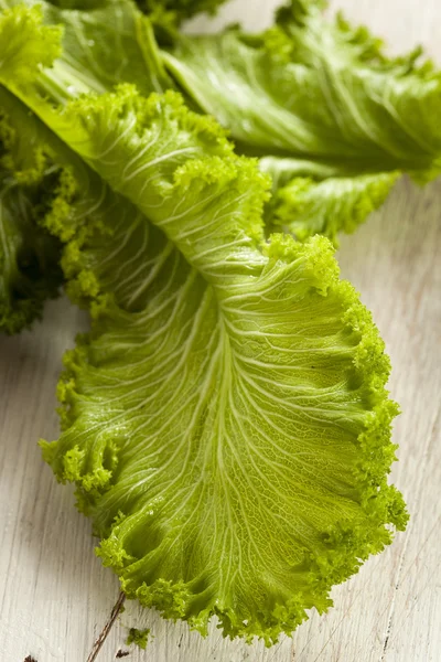Verde mostaza cruda orgánica — Foto de Stock