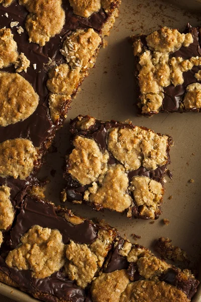 Domowe biesiada czekolada brownie barów — Zdjęcie stockowe
