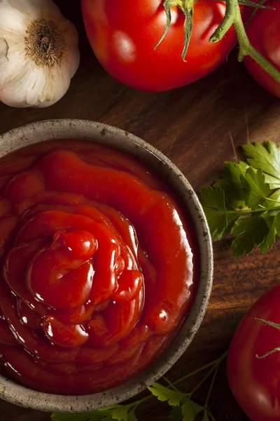 Ketchup de tomate rojo ecológico — Foto de Stock