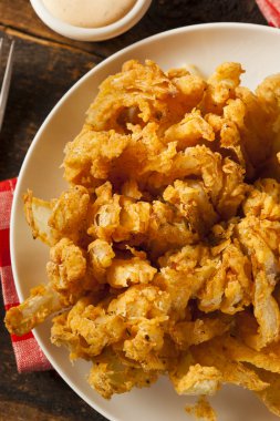 ev yapımı kızarmış bloomin soğan