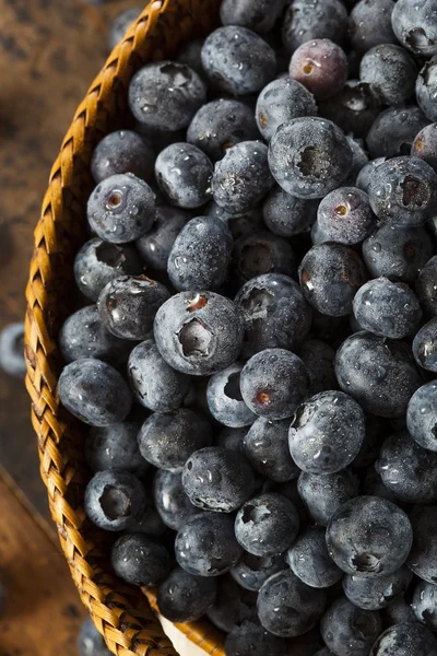 Fresh Organic Raw Blueberries — Stock Photo, Image