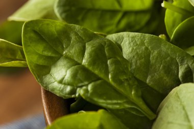 Yeşil ham organik bebek ıspanak