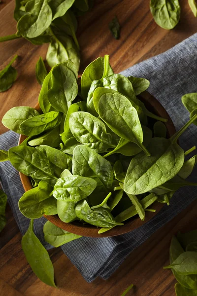 Raw Green Organic Baby Spinach — Stock Photo, Image