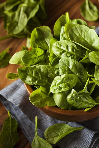 Raw Green Organic Baby Spinach — Stock Photo, Image