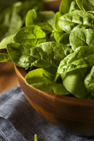 Raw Green Organic Baby Spinach — Stock Photo, Image