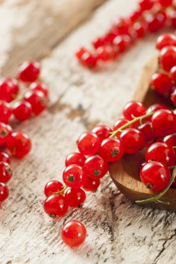 Organik çiğ kırmızı kuş üzümü