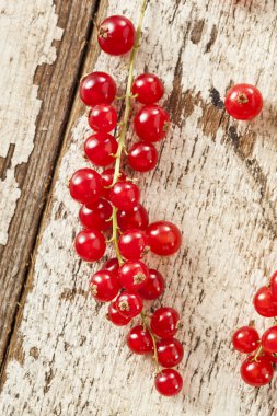 Organik çiğ kırmızı kuş üzümü