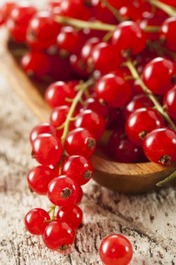 Organik çiğ kırmızı kuş üzümü