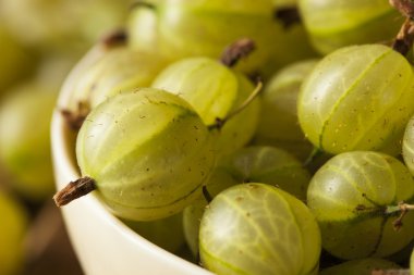 Organik çiğ yeşil bektaşi