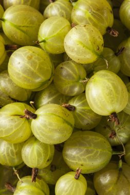 Organik çiğ yeşil bektaşi