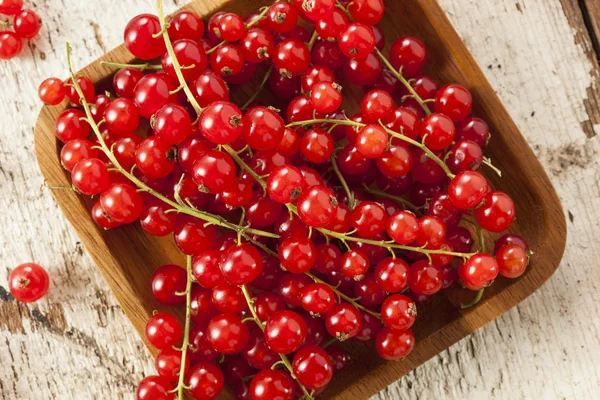 Bio-rohe rote Johannisbeeren — Stockfoto