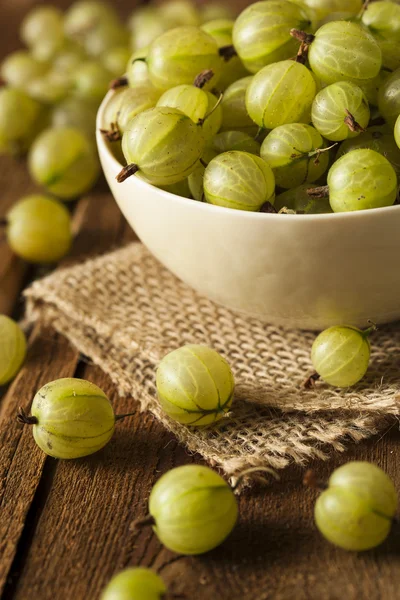 Organische rauwe groene kruisbessen — Stockfoto