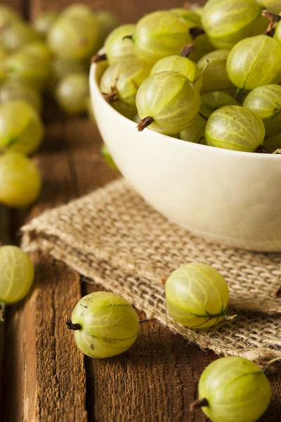 Bio rohe grüne Stachelbeeren — Stockfoto