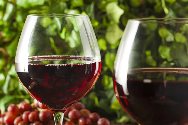 Bir bardak kırmızı şarap yenileniyor — Stok fotoğraf