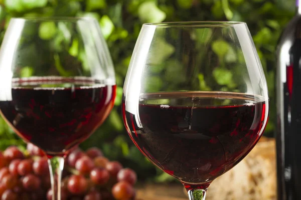 Vino tinto refrescante en una copa — Foto de Stock