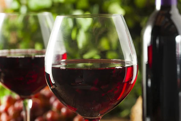 Vino rosso rinfrescante in un bicchiere — Foto Stock